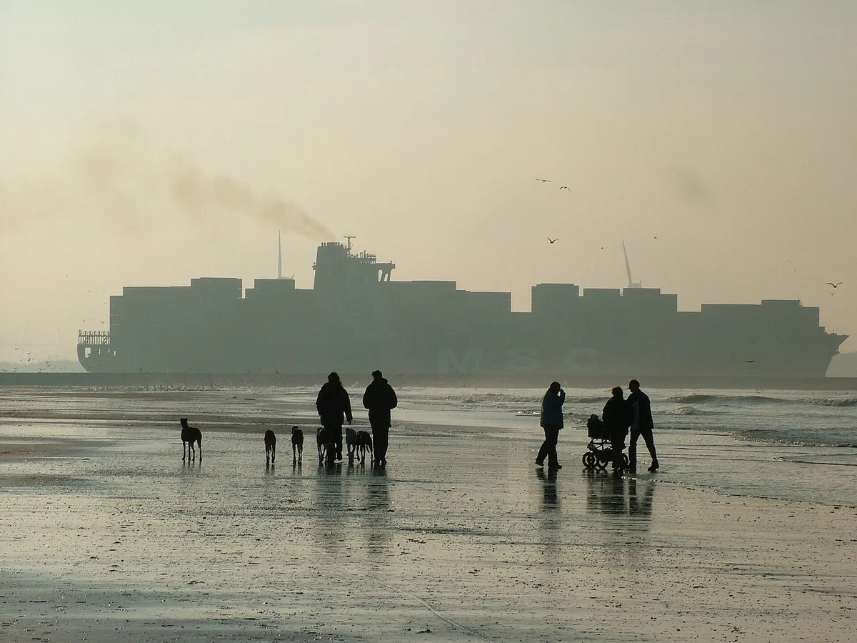 Het strand van Hoek van Holland met een containerschip op de Nieuwe Waterweg