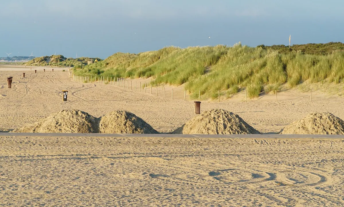 Het strand en de duinen bij Ouddorp