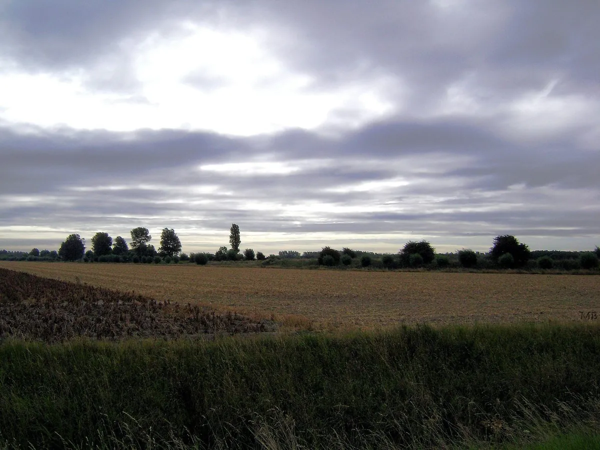 Het open polderlandschap bij Rockanje